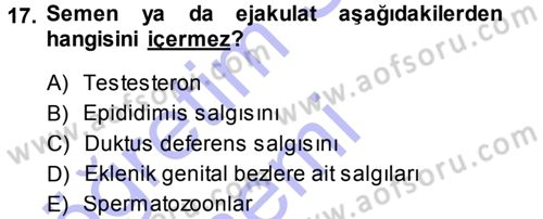 Temel Veteriner Histoloji ve Embriyoloji Dersi 2013 - 2014 Yılı (Final) Dönem Sonu Sınav Soruları 17. Soru