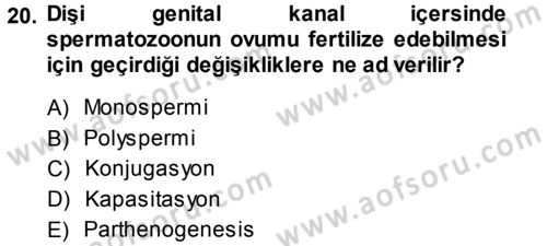 Temel Veteriner Histoloji ve Embriyoloji Dersi 2013 - 2014 Yılı (Final) Dönem Sonu Sınav Soruları 20. Soru