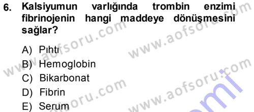 Temel Veteriner Histoloji ve Embriyoloji Dersi 2013 - 2014 Yılı (Final) Dönem Sonu Sınav Soruları 6. Soru
