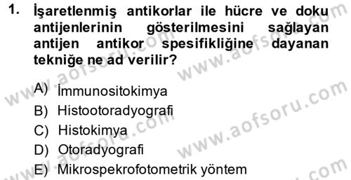 Temel Veteriner Histoloji ve Embriyoloji Dersi 2014 - 2015 Yılı (Vize) Ara Sınav Soruları 1. Soru