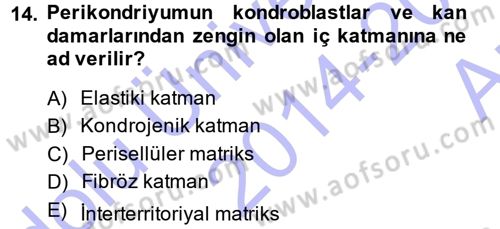 Temel Veteriner Histoloji ve Embriyoloji Dersi 2014 - 2015 Yılı (Vize) Ara Sınav Soruları 14. Soru