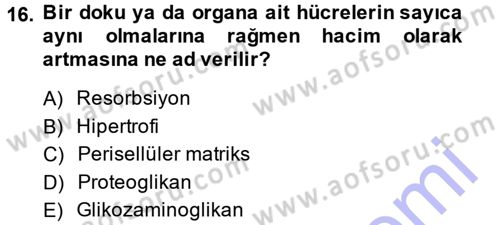 Temel Veteriner Histoloji ve Embriyoloji Dersi 2014 - 2015 Yılı (Vize) Ara Sınav Soruları 16. Soru