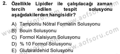 Temel Veteriner Histoloji ve Embriyoloji Dersi Ara Sınavı Deneme Sınav Soruları 2. Soru