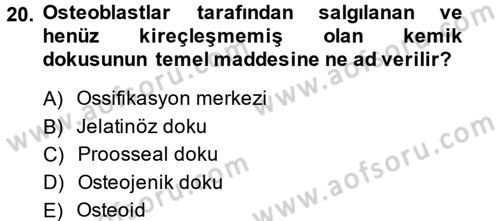Temel Veteriner Histoloji ve Embriyoloji Dersi 2014 - 2015 Yılı (Vize) Ara Sınav Soruları 20. Soru