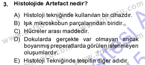 Temel Veteriner Histoloji ve Embriyoloji Dersi Ara Sınavı Deneme Sınav Soruları 3. Soru