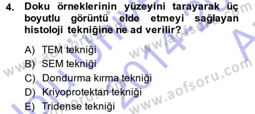 Temel Veteriner Histoloji ve Embriyoloji Dersi 2014 - 2015 Yılı (Vize) Ara Sınav Soruları 4. Soru