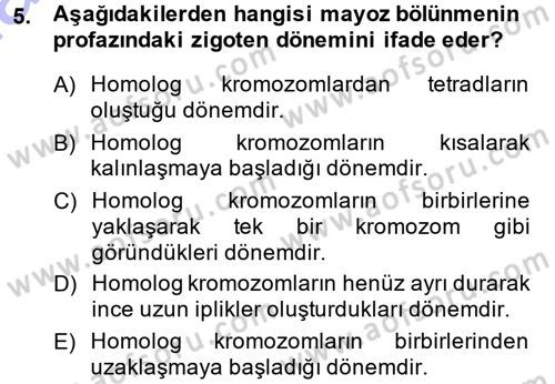 Temel Veteriner Histoloji ve Embriyoloji Dersi Ara Sınavı Deneme Sınav Soruları 5. Soru