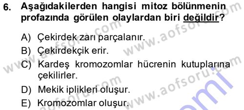 Temel Veteriner Histoloji ve Embriyoloji Dersi Ara Sınavı Deneme Sınav Soruları 6. Soru