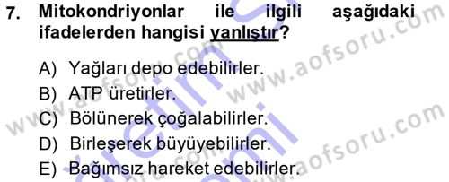Temel Veteriner Histoloji ve Embriyoloji Dersi 2014 - 2015 Yılı (Vize) Ara Sınav Soruları 7. Soru