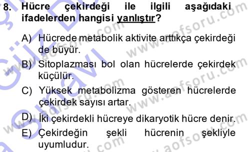 Temel Veteriner Histoloji ve Embriyoloji Dersi Ara Sınavı Deneme Sınav Soruları 8. Soru