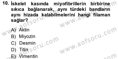 Temel Veteriner Histoloji ve Embriyoloji Dersi 2014 - 2015 Yılı (Final) Dönem Sonu Sınav Soruları 10. Soru