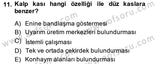 Temel Veteriner Histoloji ve Embriyoloji Dersi 2014 - 2015 Yılı (Final) Dönem Sonu Sınav Soruları 11. Soru