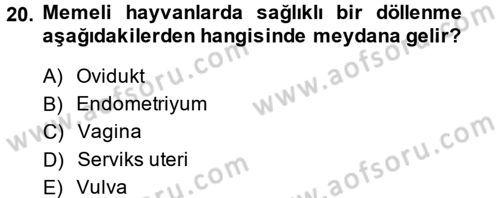 Temel Veteriner Histoloji ve Embriyoloji Dersi 2014 - 2015 Yılı (Final) Dönem Sonu Sınav Soruları 20. Soru