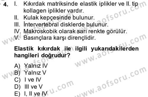 Temel Veteriner Histoloji ve Embriyoloji Dersi 2014 - 2015 Yılı (Final) Dönem Sonu Sınav Soruları 4. Soru