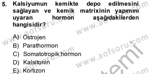 Temel Veteriner Histoloji ve Embriyoloji Dersi 2014 - 2015 Yılı (Final) Dönem Sonu Sınav Soruları 5. Soru