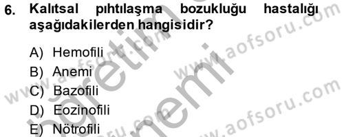 Temel Veteriner Histoloji ve Embriyoloji Dersi 2014 - 2015 Yılı (Final) Dönem Sonu Sınav Soruları 6. Soru