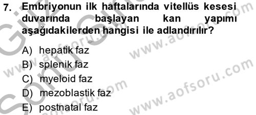 Temel Veteriner Histoloji ve Embriyoloji Dersi 2014 - 2015 Yılı (Final) Dönem Sonu Sınav Soruları 7. Soru