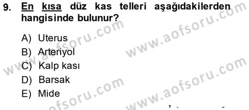 Temel Veteriner Histoloji ve Embriyoloji Dersi 2014 - 2015 Yılı (Final) Dönem Sonu Sınav Soruları 9. Soru