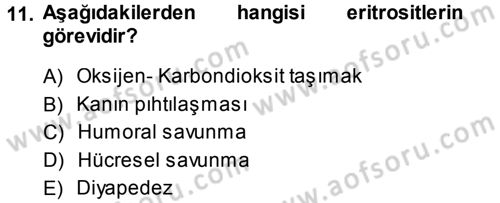 Temel Veteriner Histoloji ve Embriyoloji Dersi 2014 - 2015 Yılı Tek Ders Sınav Soruları 11. Soru