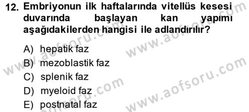 Temel Veteriner Histoloji ve Embriyoloji Dersi 2014 - 2015 Yılı Tek Ders Sınav Soruları 12. Soru