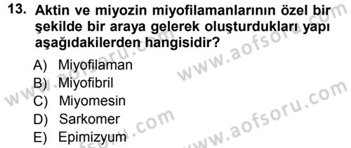 Temel Veteriner Histoloji ve Embriyoloji Dersi 2014 - 2015 Yılı Tek Ders Sınav Soruları 13. Soru