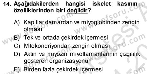 Temel Veteriner Histoloji ve Embriyoloji Dersi 2014 - 2015 Yılı Tek Ders Sınav Soruları 14. Soru