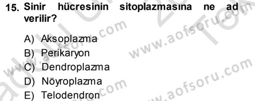 Temel Veteriner Histoloji ve Embriyoloji Dersi 2014 - 2015 Yılı Tek Ders Sınav Soruları 15. Soru