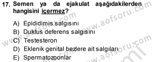 Temel Veteriner Histoloji ve Embriyoloji Dersi 2014 - 2015 Yılı Tek Ders Sınav Soruları 17. Soru