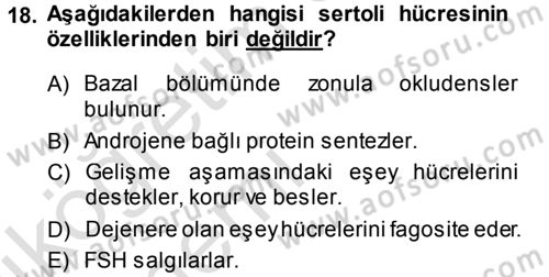 Temel Veteriner Histoloji ve Embriyoloji Dersi 2014 - 2015 Yılı Tek Ders Sınav Soruları 18. Soru