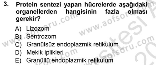 Temel Veteriner Histoloji ve Embriyoloji Dersi 2014 - 2015 Yılı Tek Ders Sınav Soruları 3. Soru