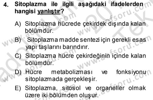 Temel Veteriner Histoloji ve Embriyoloji Dersi 2014 - 2015 Yılı Tek Ders Sınav Soruları 4. Soru
