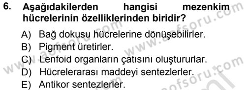 Temel Veteriner Histoloji ve Embriyoloji Dersi 2014 - 2015 Yılı Tek Ders Sınav Soruları 6. Soru