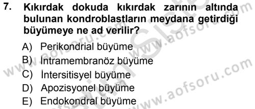 Temel Veteriner Histoloji ve Embriyoloji Dersi 2014 - 2015 Yılı Tek Ders Sınav Soruları 7. Soru