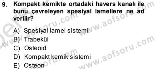 Temel Veteriner Histoloji ve Embriyoloji Dersi 2014 - 2015 Yılı Tek Ders Sınav Soruları 9. Soru