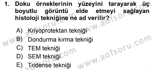Temel Veteriner Histoloji ve Embriyoloji Dersi Ara Sınavı Deneme Sınav Soruları 1. Soru