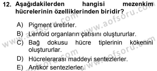 Temel Veteriner Histoloji ve Embriyoloji Dersi 2015 - 2016 Yılı (Vize) Ara Sınav Soruları 12. Soru