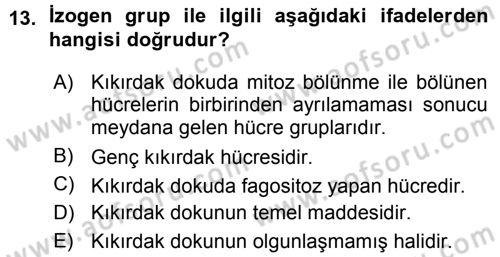Temel Veteriner Histoloji ve Embriyoloji Dersi Ara Sınavı Deneme Sınav Soruları 13. Soru