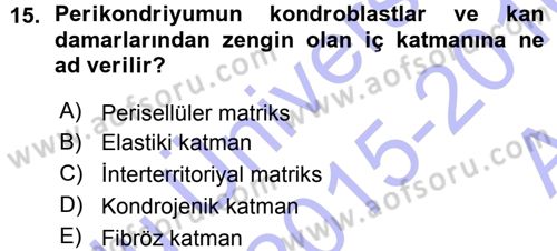 Temel Veteriner Histoloji ve Embriyoloji Dersi Ara Sınavı Deneme Sınav Soruları 15. Soru