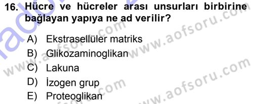 Temel Veteriner Histoloji ve Embriyoloji Dersi Ara Sınavı Deneme Sınav Soruları 16. Soru