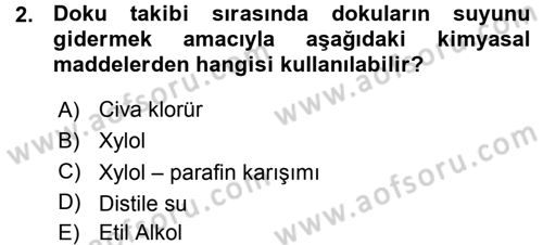 Temel Veteriner Histoloji ve Embriyoloji Dersi Ara Sınavı Deneme Sınav Soruları 2. Soru