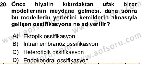 Temel Veteriner Histoloji ve Embriyoloji Dersi 2015 - 2016 Yılı (Vize) Ara Sınav Soruları 20. Soru
