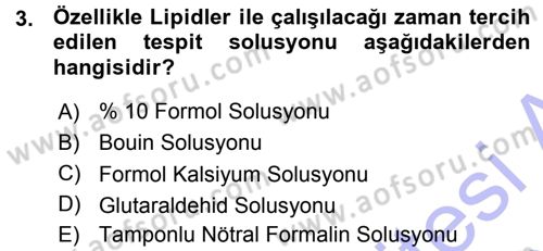 Temel Veteriner Histoloji ve Embriyoloji Dersi Ara Sınavı Deneme Sınav Soruları 3. Soru