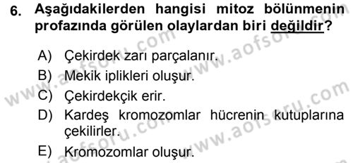 Temel Veteriner Histoloji ve Embriyoloji Dersi Ara Sınavı Deneme Sınav Soruları 6. Soru