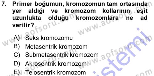 Temel Veteriner Histoloji ve Embriyoloji Dersi Ara Sınavı Deneme Sınav Soruları 7. Soru