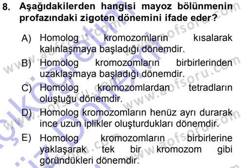 Temel Veteriner Histoloji ve Embriyoloji Dersi Ara Sınavı Deneme Sınav Soruları 8. Soru