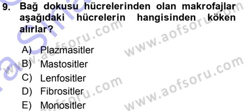 Temel Veteriner Histoloji ve Embriyoloji Dersi Ara Sınavı Deneme Sınav Soruları 9. Soru