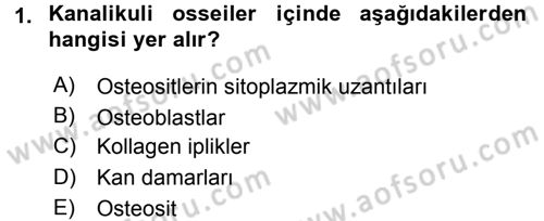 Temel Veteriner Histoloji ve Embriyoloji Dersi 2015 - 2016 Yılı (Final) Dönem Sonu Sınav Soruları 1. Soru