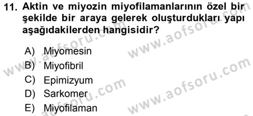 Temel Veteriner Histoloji ve Embriyoloji Dersi 2015 - 2016 Yılı (Final) Dönem Sonu Sınav Soruları 11. Soru