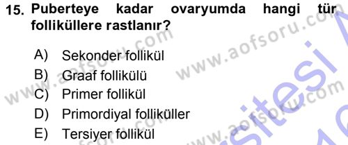 Temel Veteriner Histoloji ve Embriyoloji Dersi 2015 - 2016 Yılı (Final) Dönem Sonu Sınav Soruları 15. Soru