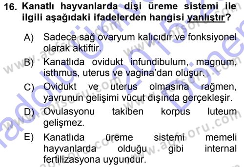 Temel Veteriner Histoloji ve Embriyoloji Dersi 2015 - 2016 Yılı (Final) Dönem Sonu Sınav Soruları 16. Soru